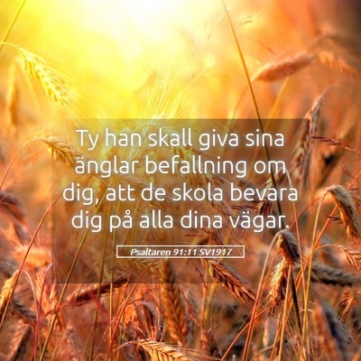 Picture 05 - Psaltaren 91:11 SV1917 - Ty han skall giva sina änglar befallning om dig, - Bible Verse Picture