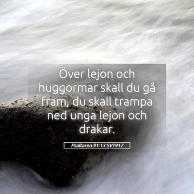 Picture 05 - Psaltaren 91:13 SV1917 - Över lejon och huggormar skall du gå fram, du - Bible Verse Picture