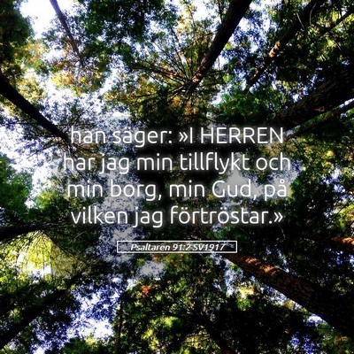 Picture 05 - Psaltaren 91:2 SV1917 - han säger: »I HERREN har jag min tillflykt och - Bible Verse Picture
