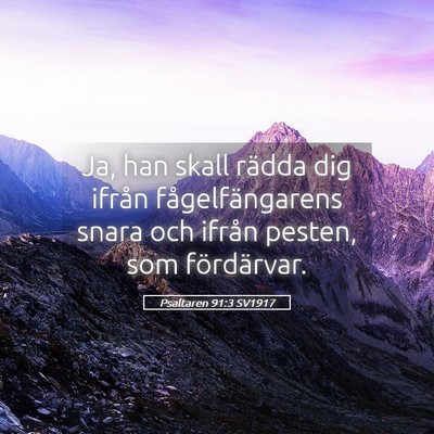 Picture 05 - Psaltaren 91:3 SV1917 - Ja, han skall rädda dig ifrån fågelfängarens - Bible Verse Picture