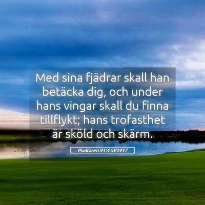 Picture 05 - Psaltaren 91:4 SV1917 - Med sina fjädrar skall han betäcka dig, och - Bible Verse Picture