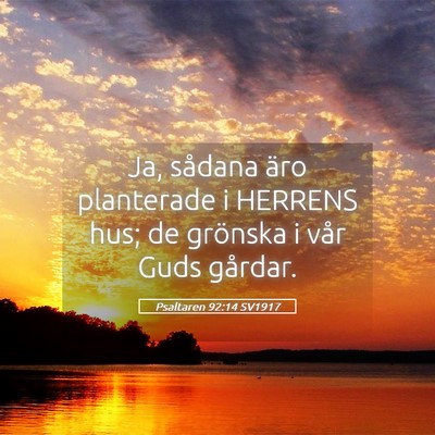 Picture 05 - Psaltaren 92:14 SV1917 - Ja, sådana äro planterade i HERRENS hus; de - Bible Verse Picture