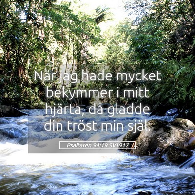 Picture 05 - Psaltaren 94:19 SV1917 - När jag hade mycket bekymmer i mitt hjärta, då - Bible Verse Picture