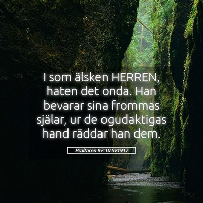 Picture 05 - Psaltaren 97:10 SV1917 - I som älsken HERREN, haten det onda. Han bevarar - Bible Verse Picture