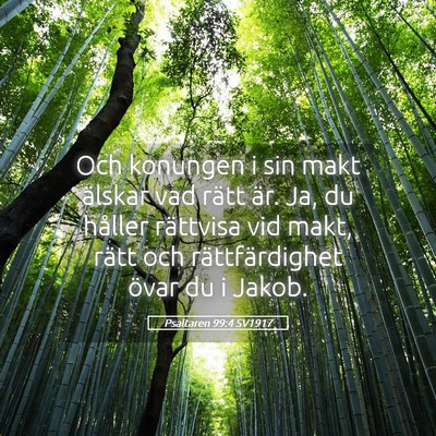 Picture 05 - Psaltaren 99:4 SV1917 - Och konungen i sin makt älskar vad rätt är. - Bible Verse Picture