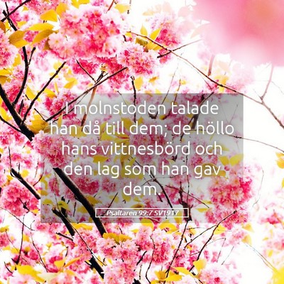 Picture 05 - Psaltaren 99:7 SV1917 - I molnstoden talade han då till dem; de höllo - Bible Verse Picture