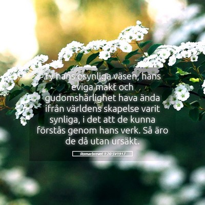 Picture 05 - Romarbrevet 1:20 SV1917 - Ty hans osynliga väsen, hans eviga makt och - Bible Verse Picture