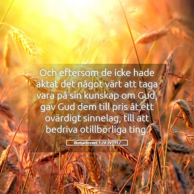 Picture 05 - Romarbrevet 1:28 SV1917 - Och eftersom de icke hade aktat det något värt - Bible Verse Picture