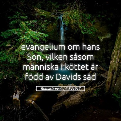 Picture 05 - Romarbrevet 1:3 SV1917 - evangelium om hans Son, vilken såsom människa i - Bible Verse Picture