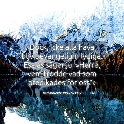 Picture 05 - Romarbrevet 10:16 SV1917 - Dock, icke alla hava blivit evangelium lydiga. - Bible Verse Picture