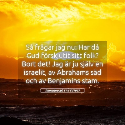 Picture 05 - Romarbrevet 11:1 SV1917 - Så frågar jag nu: Har då Gud förskjutit sitt - Bible Verse Picture