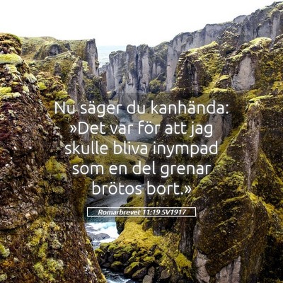 Picture 05 - Romarbrevet 11:19 SV1917 - Nu säger du kanhända: »Det var för att jag - Bible Verse Picture