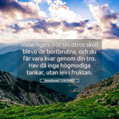 Picture 05 - Romarbrevet 11:20 SV1917 - Visserligen. För sin otros skull blevo de - Bible Verse Picture