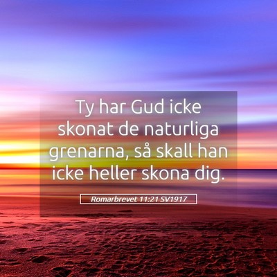 Picture 05 - Romarbrevet 11:21 SV1917 - Ty har Gud icke skonat de naturliga grenarna, så - Bible Verse Picture