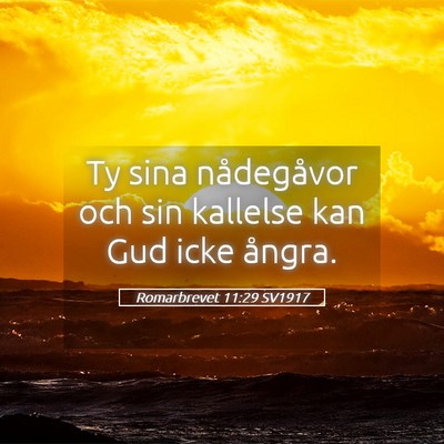 Picture 05 - Romarbrevet 11:29 SV1917 - Ty sina nådegåvor och sin kallelse kan Gud icke - Bible Verse Picture