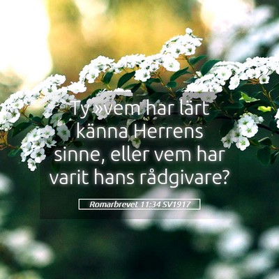 Picture 05 - Romarbrevet 11:34 SV1917 - Ty »vem har lärt känna Herrens sinne, eller - Bible Verse Picture