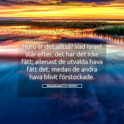 Picture 05 - Romarbrevet 11:7 SV1917 - Huru är det alltså? Vad Israel står efter, det - Bible Verse Picture