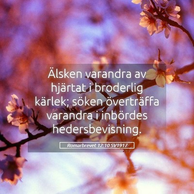 Picture 05 - Romarbrevet 12:10 SV1917 - Älsken varandra av hjärtat i broderlig kärlek; - Bible Verse Picture