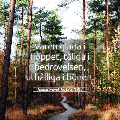 Picture 05 - Romarbrevet 12:12 SV1917 - Varen glada i hoppet, tåliga i bedrövelsen, - Bible Verse Picture
