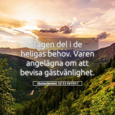 Picture 05 - Romarbrevet 12:13 SV1917 - Tagen del i de heligas behov. Varen angelägna om - Bible Verse Picture
