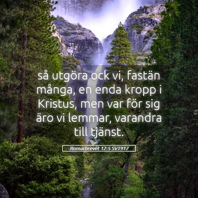 Picture 05 - Romarbrevet 12:5 SV1917 - så utgöra ock vi, fastän många, en enda kropp - Bible Verse Picture