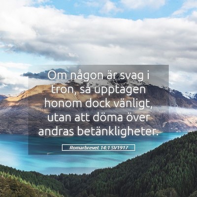 Picture 05 - Romarbrevet 14:1 SV1917 - Om någon är svag i tron, så upptagen honom - Bible Verse Picture