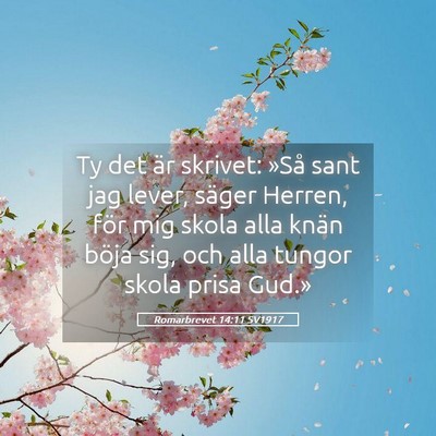 Picture 05 - Romarbrevet 14:11 SV1917 - Ty det är skrivet: »Så sant jag lever, säger - Bible Verse Picture