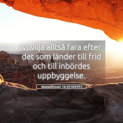 Picture 05 - Romarbrevet 14:19 SV1917 - Vi vilja alltså fara efter det som länder till - Bible Verse Picture