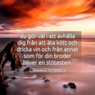 Picture 05 - Romarbrevet 14:21 SV1917 - du gör väl i att avhålla dig från att äta - Bible Verse Picture