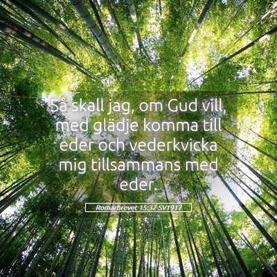 Picture 05 - Romarbrevet 15:32 SV1917 - Så skall jag, om Gud vill, med glädje komma - Bible Verse Picture