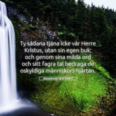 Picture 05 - Romarbrevet 16:18 SV1917 - Ty sådana tjäna icke vår Herre Kristus, utan - Bible Verse Picture