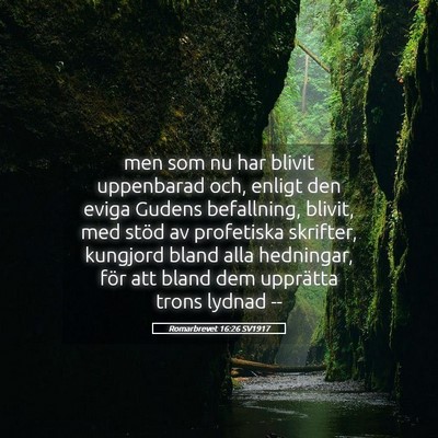 Picture 05 - Romarbrevet 16:26 SV1917 - men som nu har blivit uppenbarad och, enligt den - Bible Verse Picture