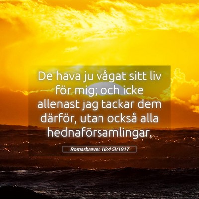 Picture 05 - Romarbrevet 16:4 SV1917 - De hava ju vågat sitt liv för mig; och icke - Bible Verse Picture