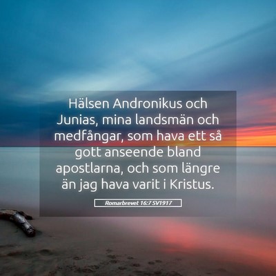 Picture 05 - Romarbrevet 16:7 SV1917 - Hälsen Andronikus och Junias, mina landsmän och - Bible Verse Picture