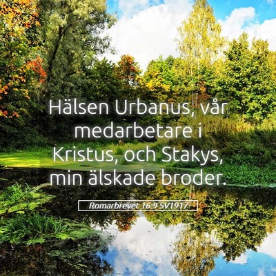 Picture 05 - Romarbrevet 16:9 SV1917 - Hälsen Urbanus, vår medarbetare i Kristus, och - Bible Verse Picture