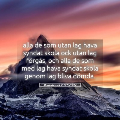 Picture 05 - Romarbrevet 2:12 SV1917 - alla de som utan lag hava syndat skola ock utan - Bible Verse Picture