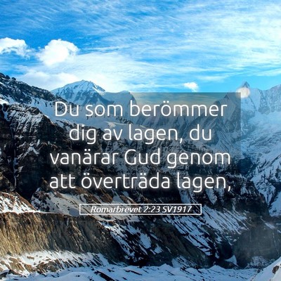 Picture 05 - Romarbrevet 2:23 SV1917 - Du som berömmer dig av lagen, du vanärar Gud - Bible Verse Picture