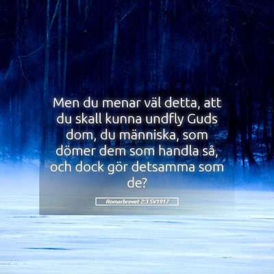 Picture 05 - Romarbrevet 2:3 SV1917 - Men du menar väl detta, att du skall kunna - Bible Verse Picture