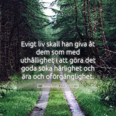 Picture 05 - Romarbrevet 2:7 SV1917 - Evigt liv skall han giva åt dem som med - Bible Verse Picture