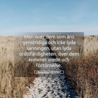 Picture 05 - Romarbrevet 2:8 SV1917 - Men över dem som äro genstridiga och icke lyda - Bible Verse Picture