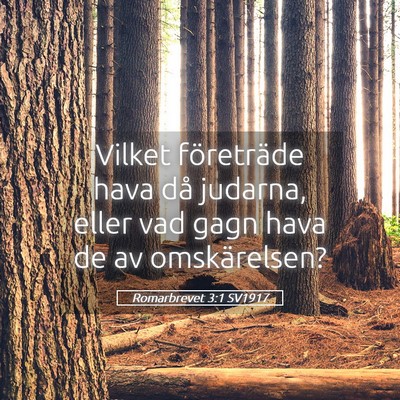 Picture 05 - Romarbrevet 3:1 SV1917 - Vilket företräde hava då judarna, eller vad - Bible Verse Picture