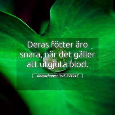 Picture 05 - Romarbrevet 3:15 SV1917 - Deras fötter äro snara, när det gäller att - Bible Verse Picture
