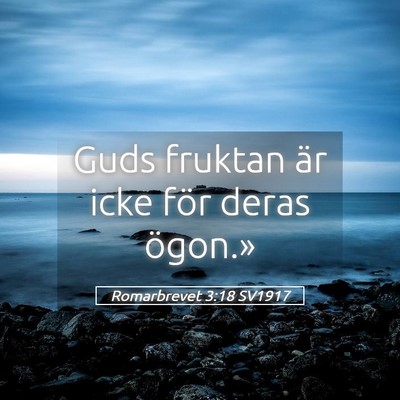 Picture 05 - Romarbrevet 3:18 SV1917 - Guds fruktan är icke för deras - Bible Verse Picture