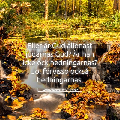 Picture 05 - Romarbrevet 3:29 SV1917 - Eller är Gud allenast judarnas Gud? Är han icke - Bible Verse Picture