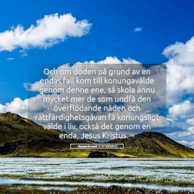 Picture 05 - Romarbrevet 5:17 SV1917 - Och om döden på grund av en endas fall kom till - Bible Verse Picture