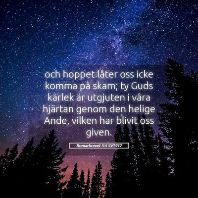 Picture 05 - Romarbrevet 5:5 SV1917 - och hoppet låter oss icke komma på skam; ty - Bible Verse Picture