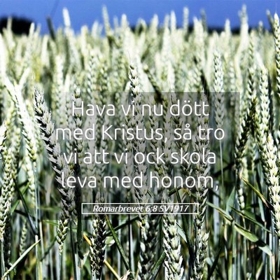 Picture 05 - Romarbrevet 6:8 SV1917 - Hava vi nu dött med Kristus, så tro vi att vi - Bible Verse Picture
