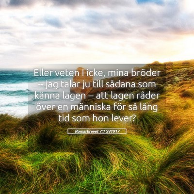Picture 05 - Romarbrevet 7:1 SV1917 - Eller veten I icke, mina bröder -- jag talar ju - Bible Verse Picture