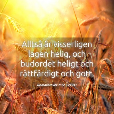 Picture 05 - Romarbrevet 7:12 SV1917 - Alltså är visserligen lagen helig, och budordet - Bible Verse Picture