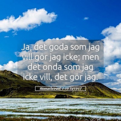Picture 05 - Romarbrevet 7:19 SV1917 - Ja, det goda som jag vill gör jag icke; men det - Bible Verse Picture
